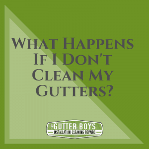 Blog graphic – what happens if i don’t clean my gutters_