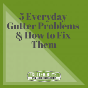 Blog graphic – why you shouldn’t diy your gutter repairs and installations