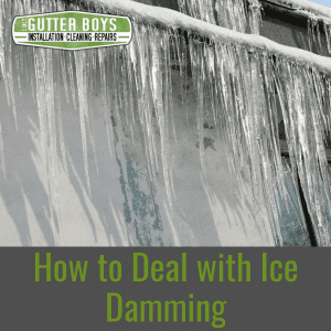 How To Deal with Ice Damming
